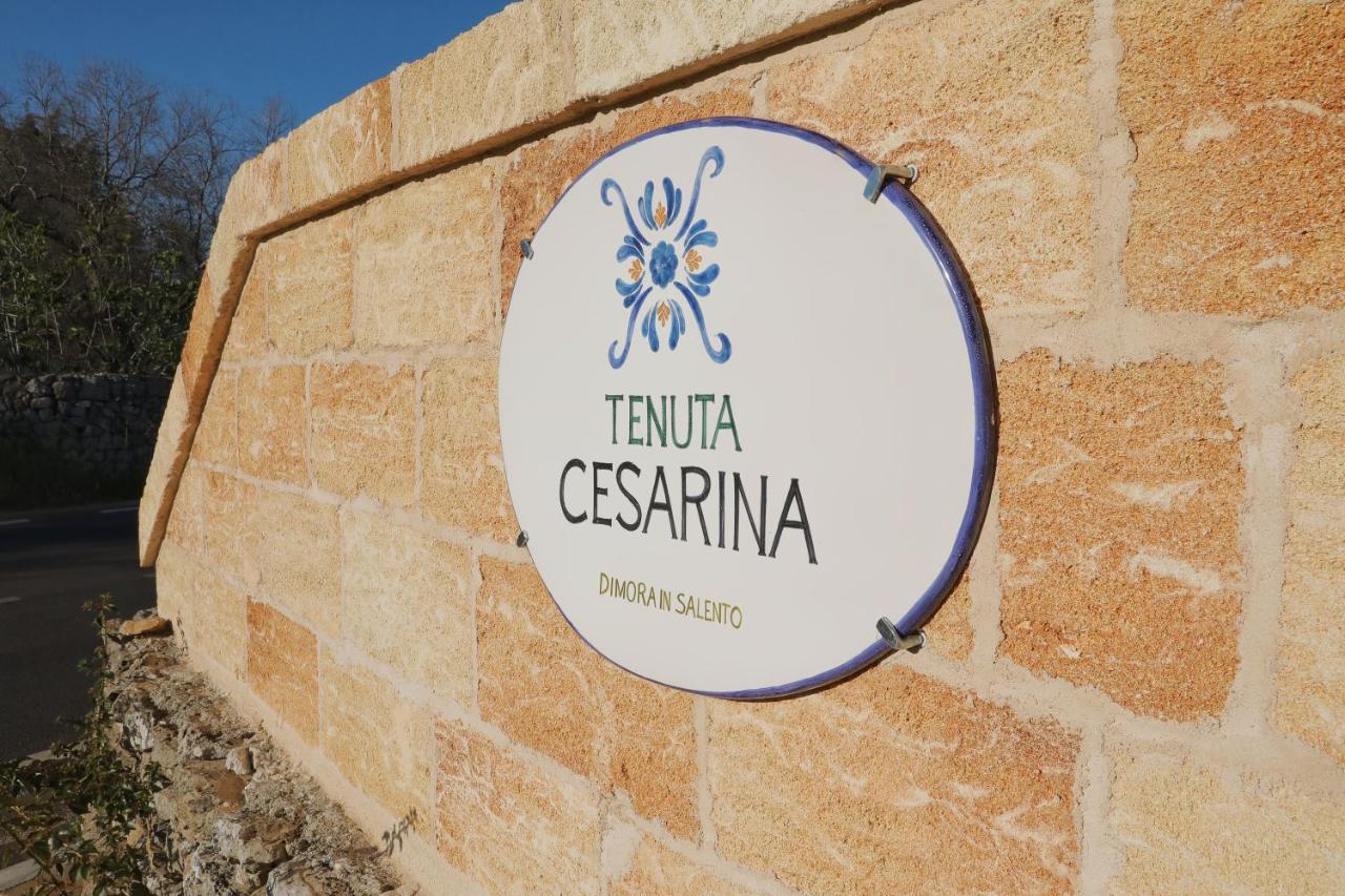 Tenuta Cesarina 阿莱萨诺 外观 照片